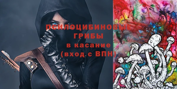 spice Арсеньев